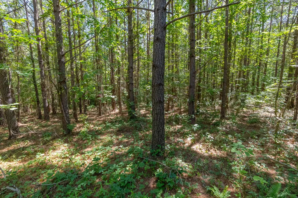 0 White Oak Rd Stewart, TN 37175