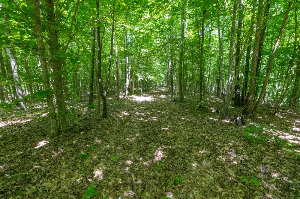 0 White Oak Rd Stewart, TN 37175
