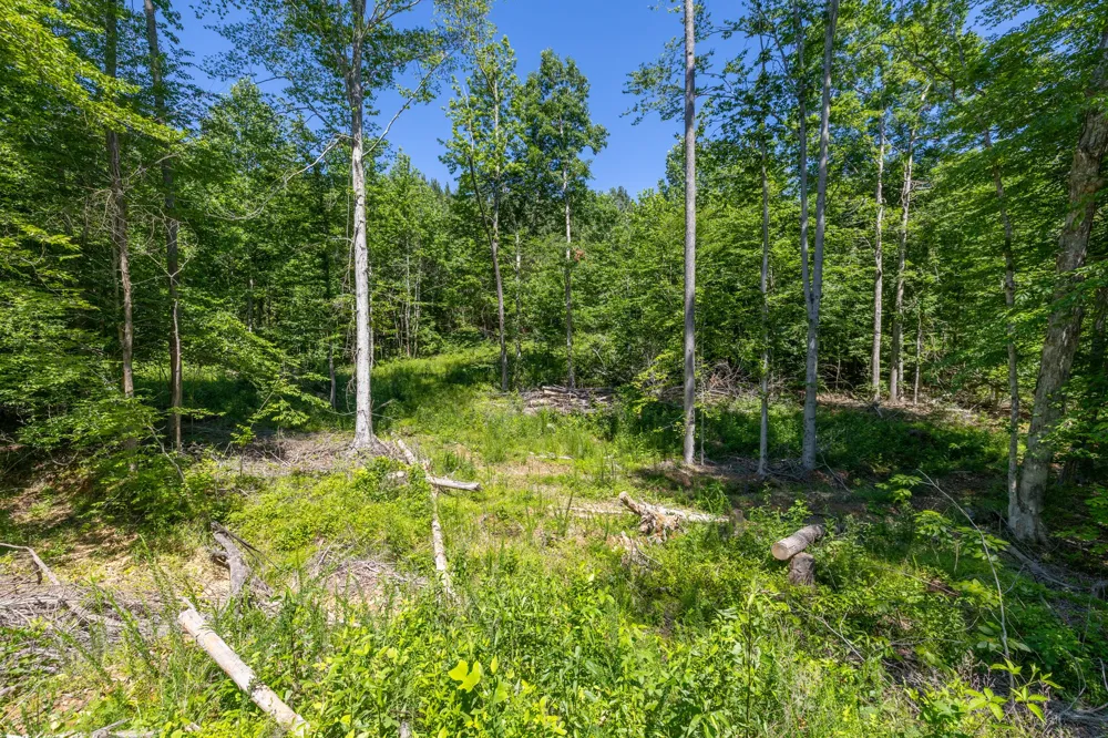 0 White Oak Rd Stewart, TN 37175