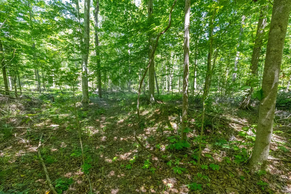 0 White Oak Rd Stewart, TN 37175