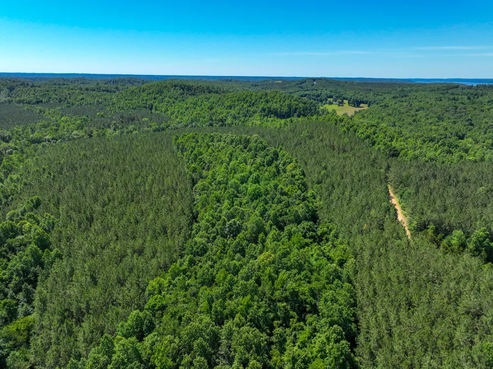 0 White Oak Rd Stewart, TN 37175