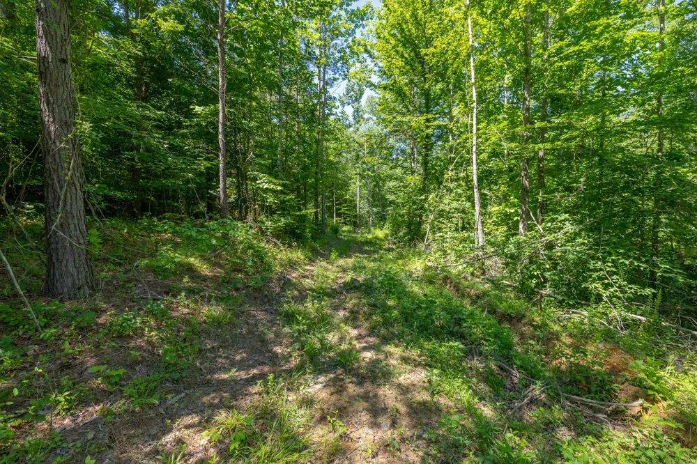 0 White Oak Rd Stewart, TN 37175