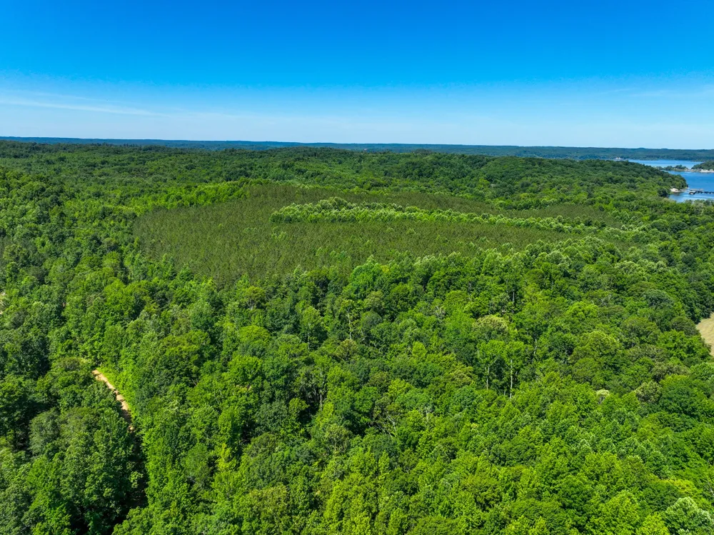 0 White Oak Rd Stewart, TN 37175