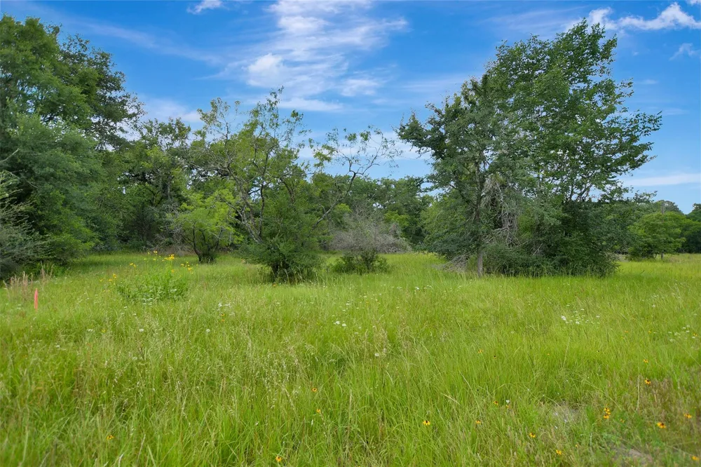 1722 Stone Street Bedias, TX 77831