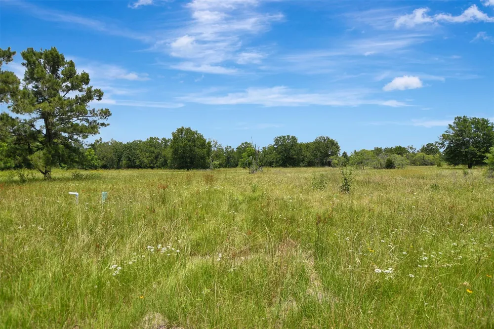1722 Stone Street Bedias, TX 77831