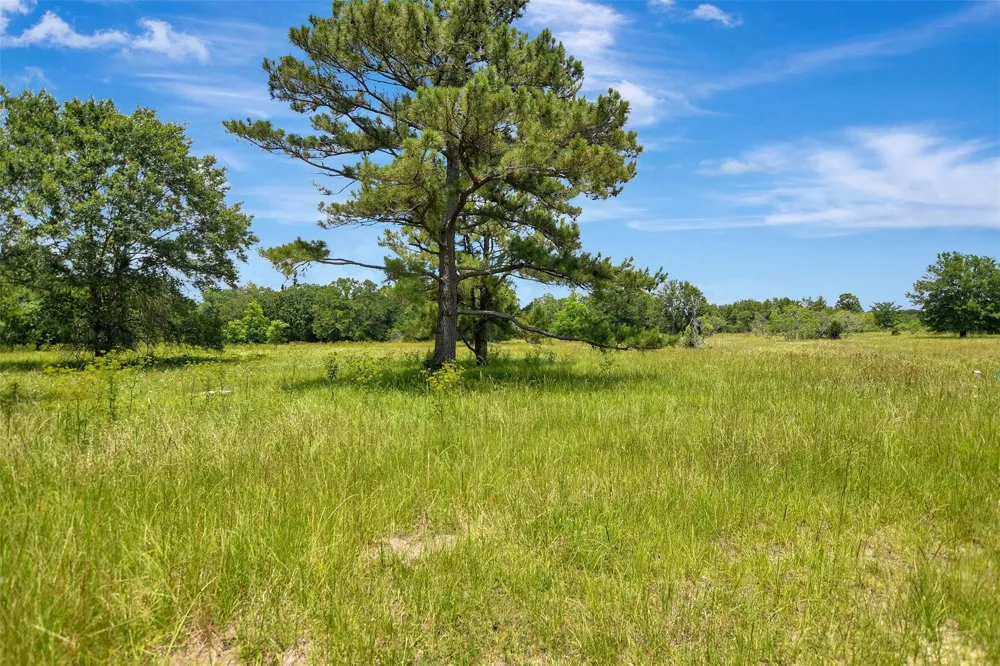 1722 Stone Street Bedias, TX 77831