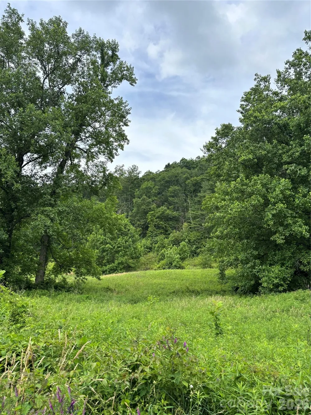 1771 Hughes Gap Road Bakersville, NC 28705