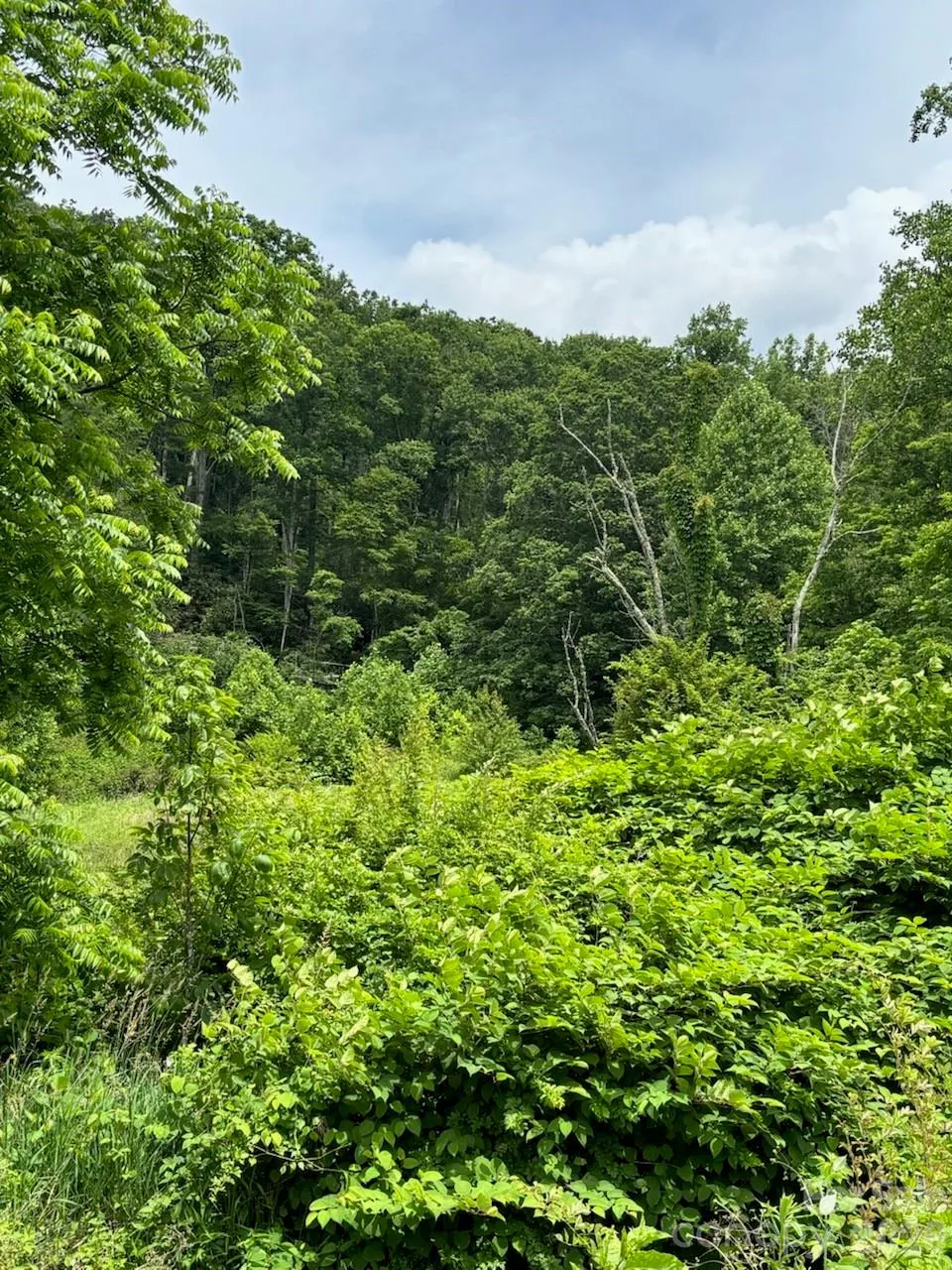 1771 Hughes Gap Road Bakersville, NC 28705
