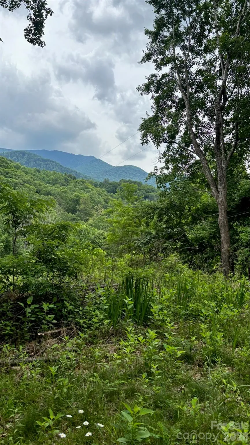 1771 Hughes Gap Road Bakersville, NC 28705