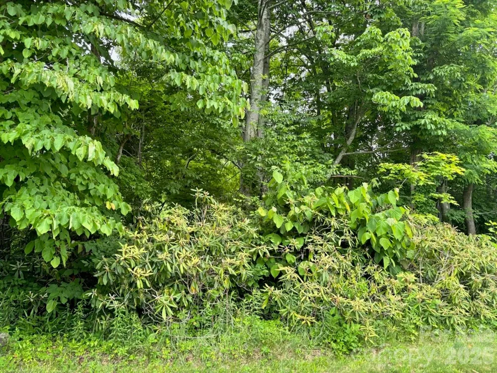 1771 Hughes Gap Road Bakersville, NC 28705