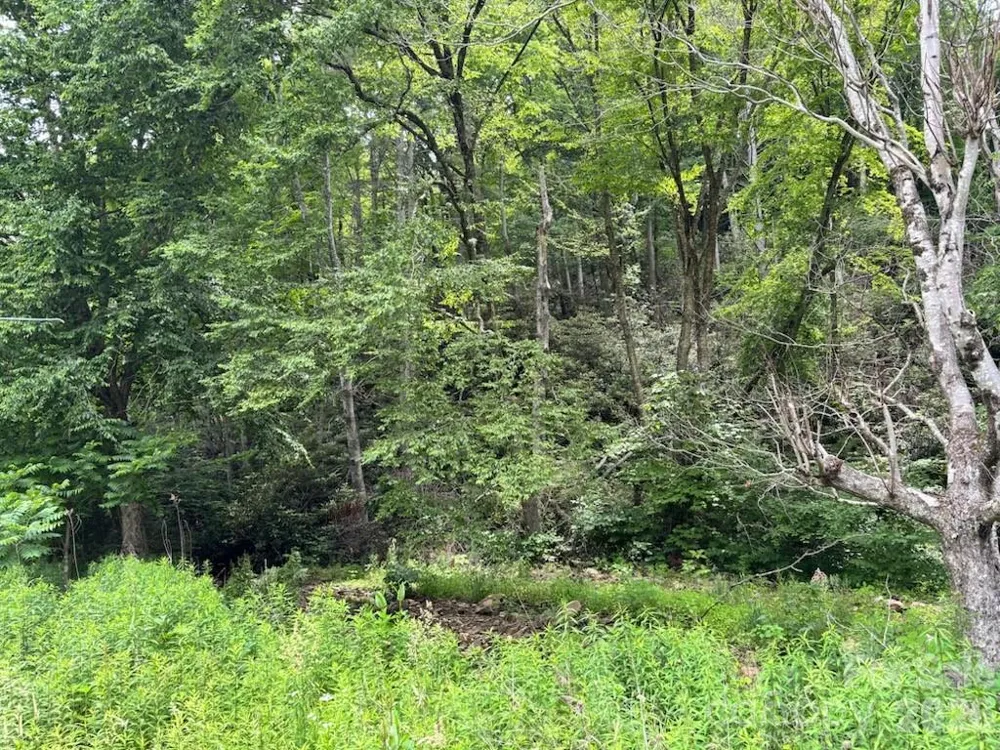 1771 Hughes Gap Road Bakersville, NC 28705
