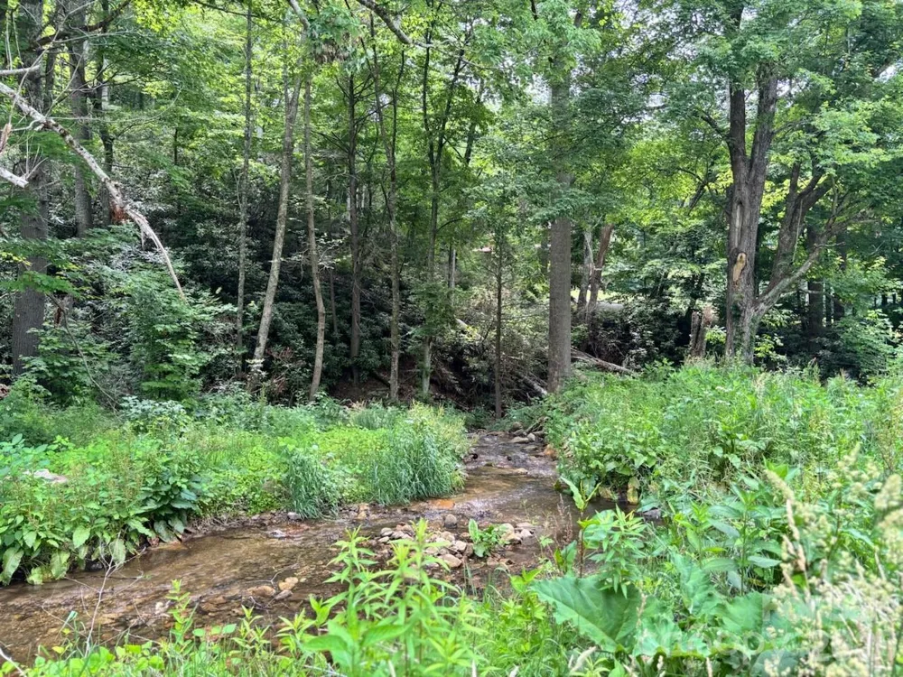 1771 Hughes Gap Road Bakersville, NC 28705