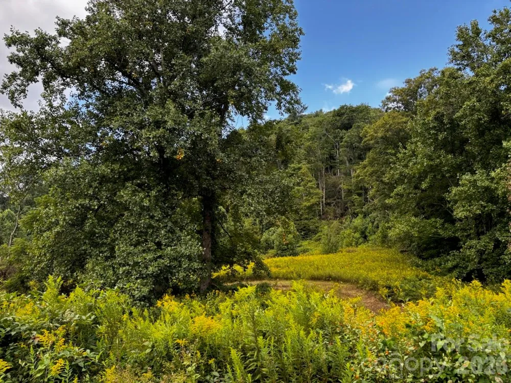 1771 Hughes Gap Road Bakersville, NC 28705