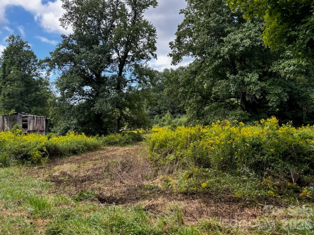 1771 Hughes Gap Road Bakersville, NC 28705