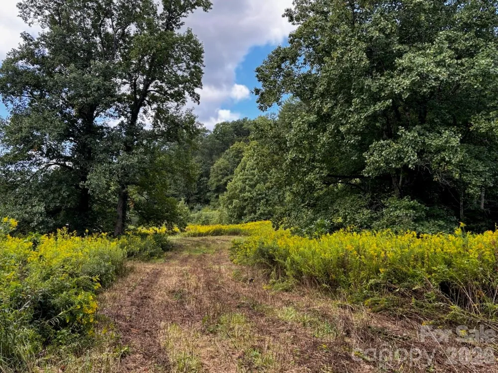 1771 Hughes Gap Road Bakersville, NC 28705