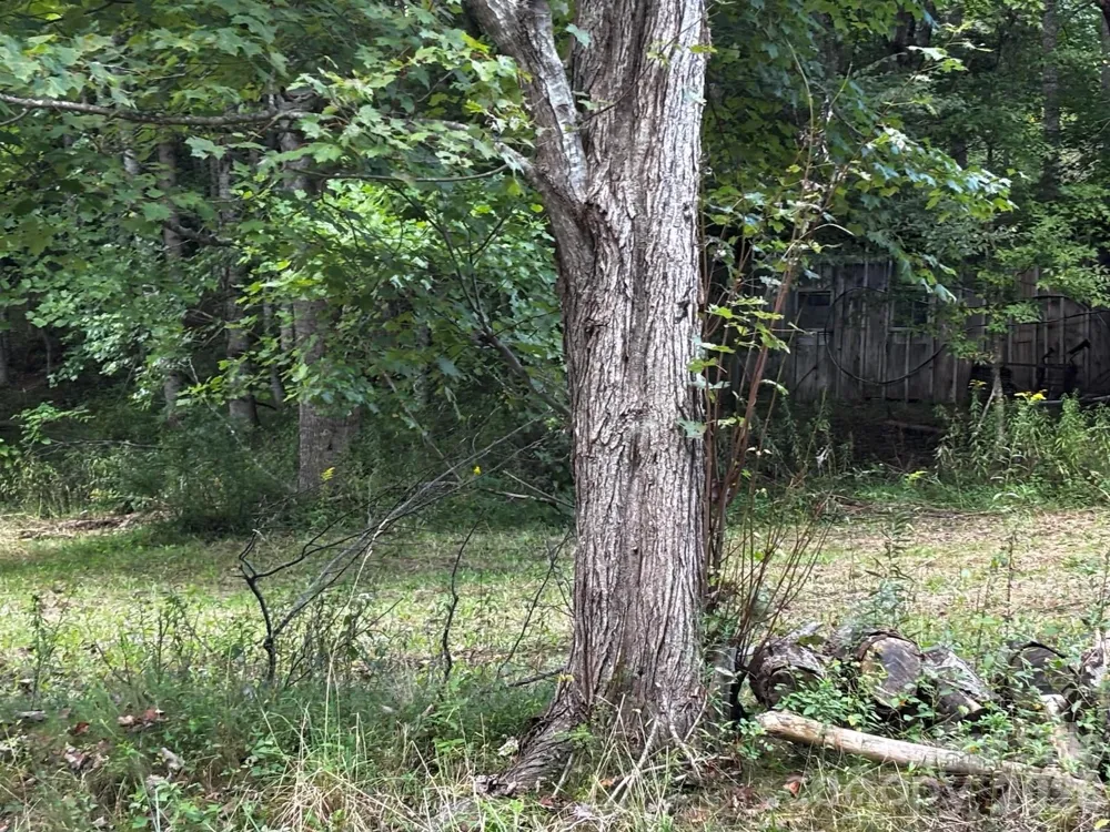 1771 Hughes Gap Road Bakersville, NC 28705