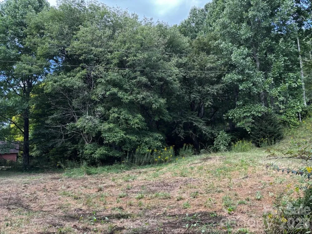 1771 Hughes Gap Road Bakersville, NC 28705