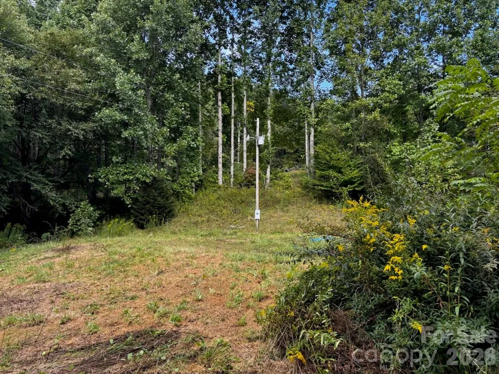 1771 Hughes Gap Road Bakersville, NC 28705