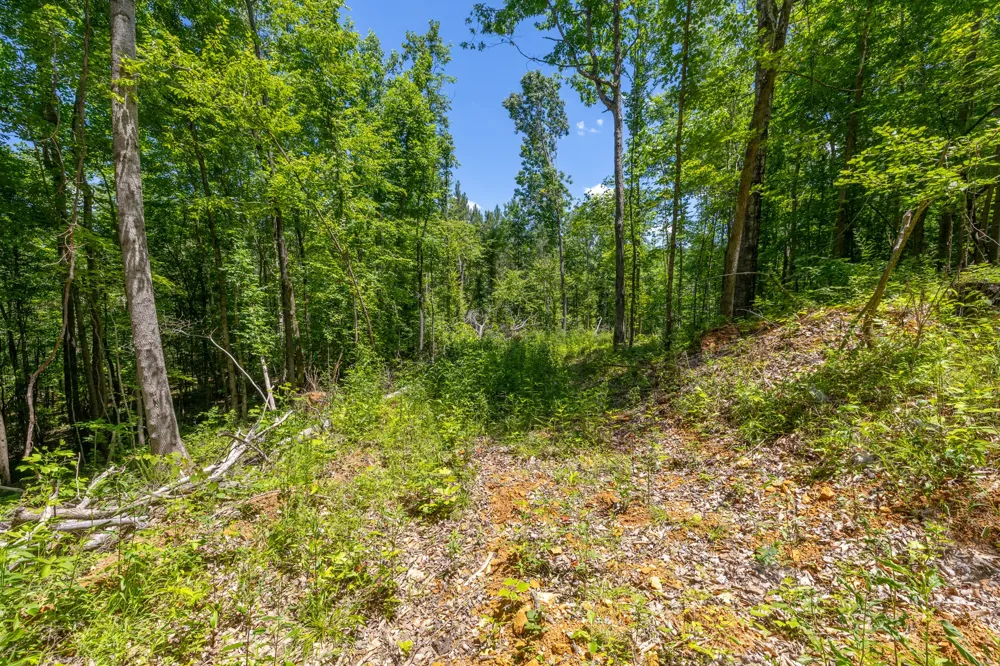 0 White Oak Rd Stewart, TN 37175