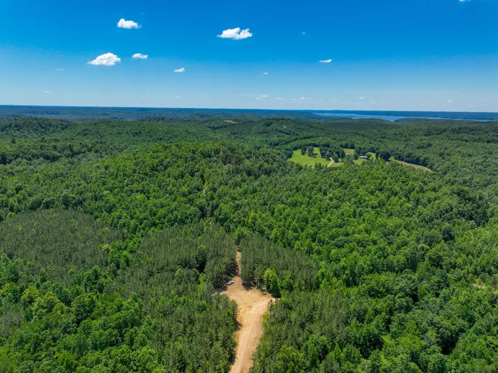 0 White Oak Rd Stewart, TN 37175