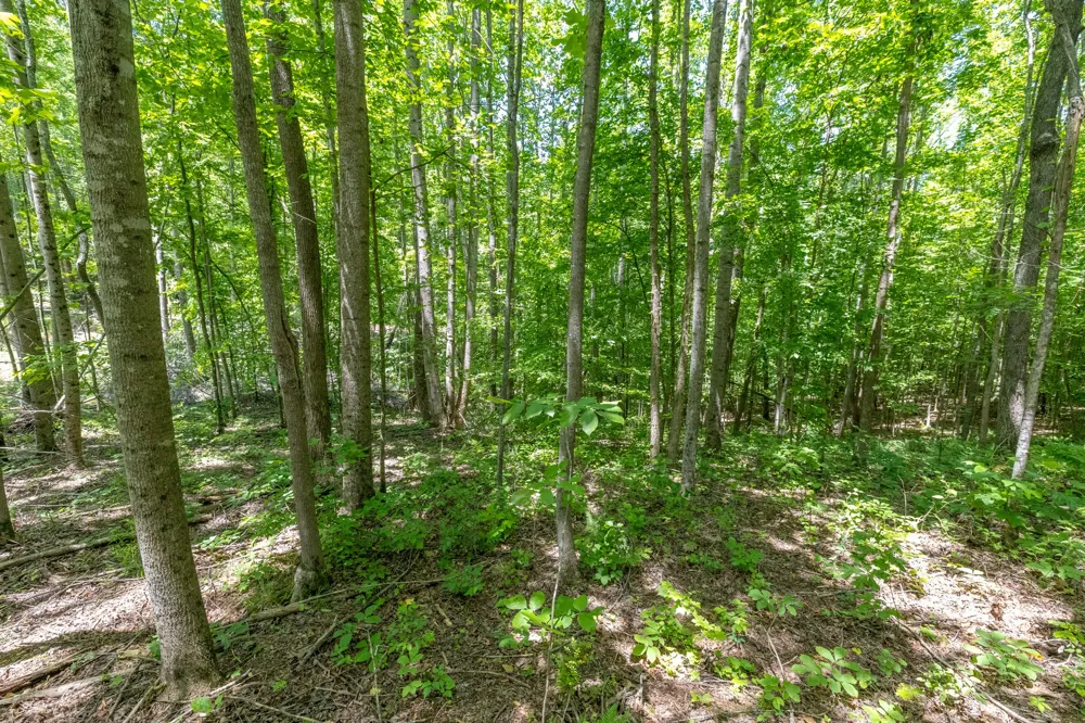 0 White Oak Rd Stewart, TN 37175