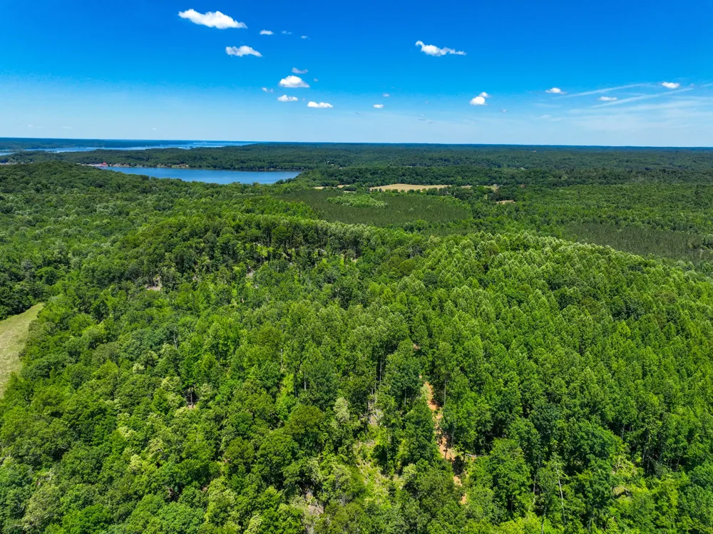 0 White Oak Rd Stewart, TN 37175