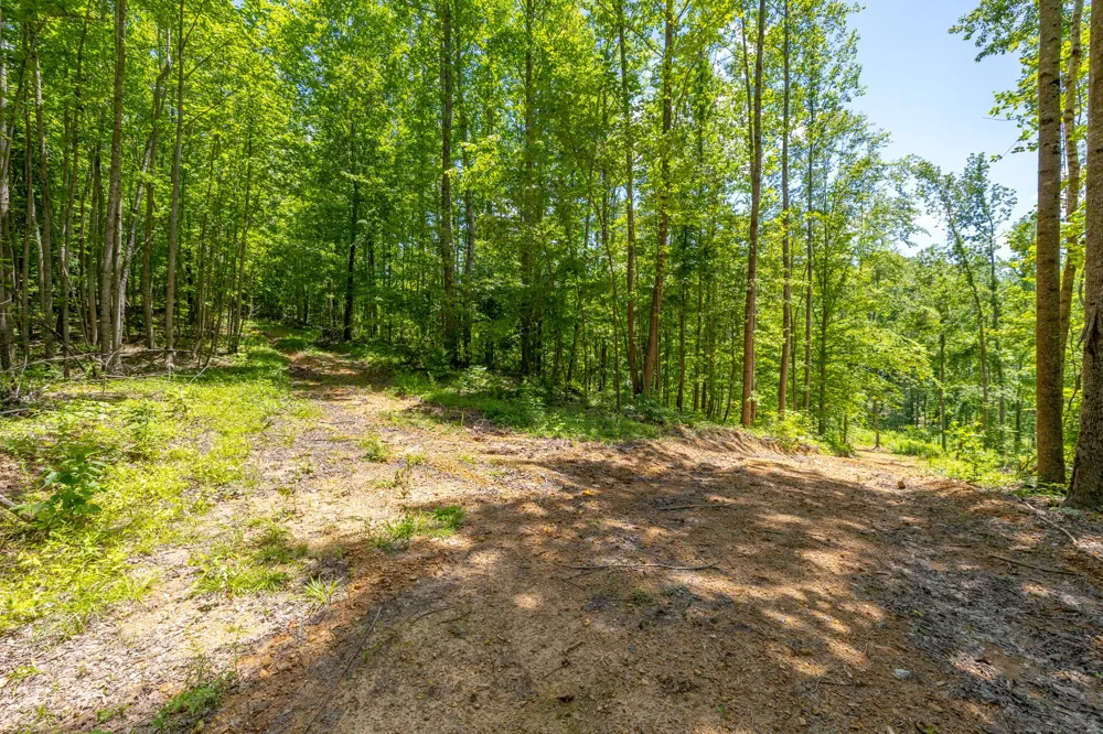 0 White Oak Rd Stewart, TN 37175