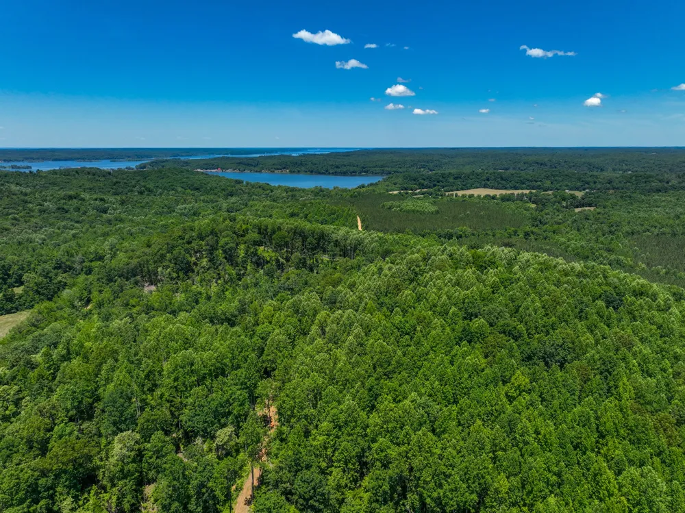0 White Oak Rd Stewart, TN 37175