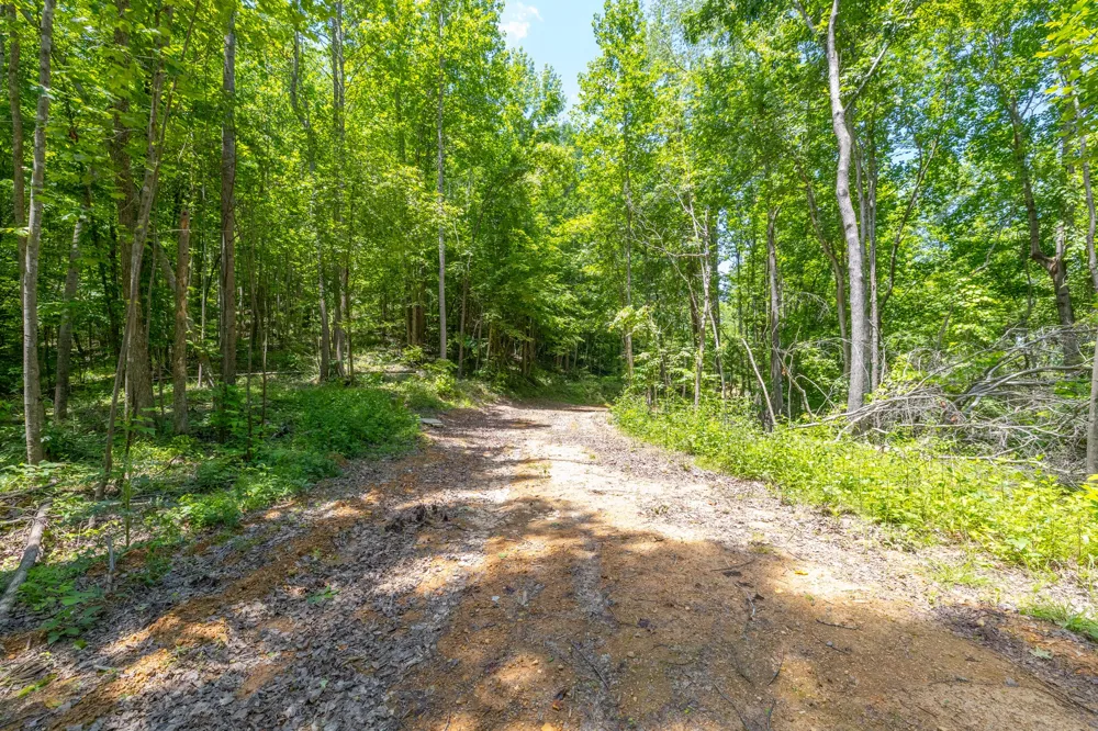 0 White Oak Rd Stewart, TN 37175