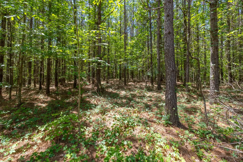 0 White Oak Rd Stewart, TN 37175