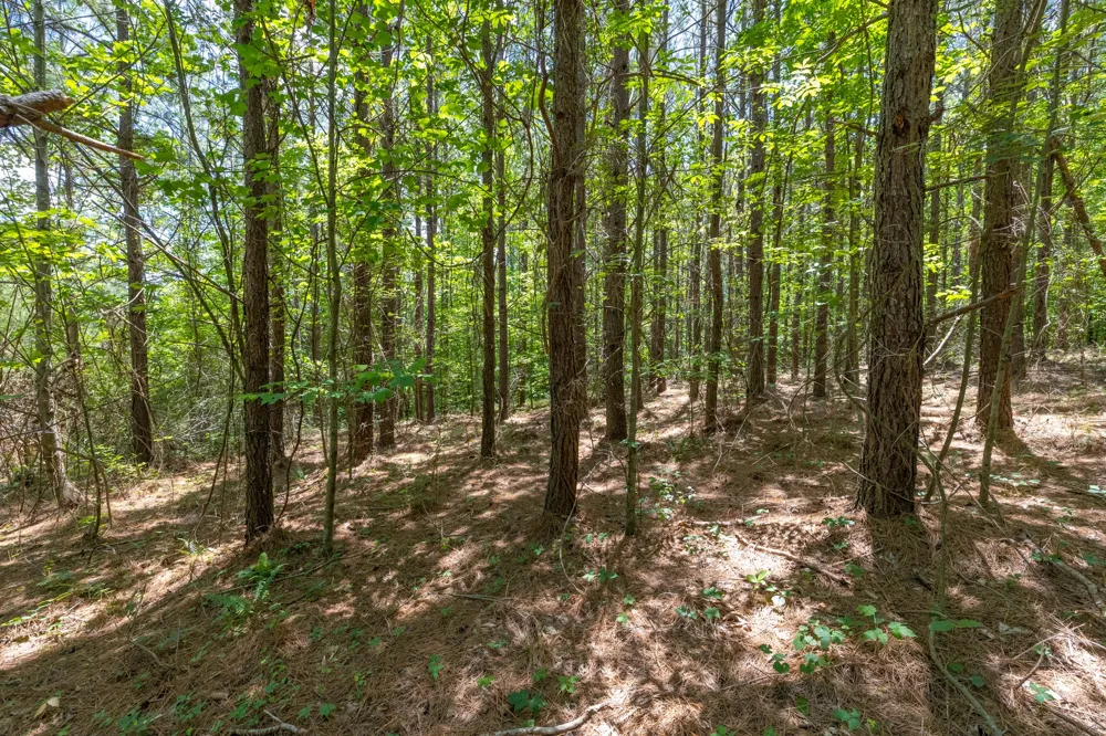 0 White Oak Rd Stewart, TN 37175