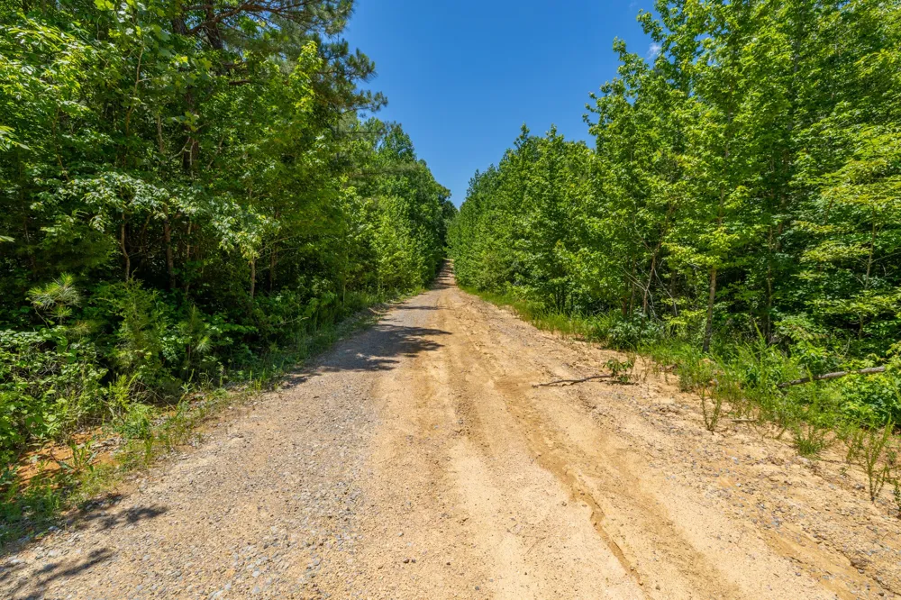 0 White Oak Rd Stewart, TN 37175