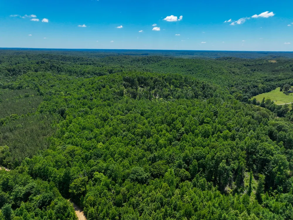 0 White Oak Rd Stewart, TN 37175