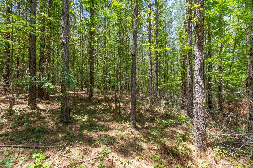 0 White Oak Rd Stewart, TN 37175