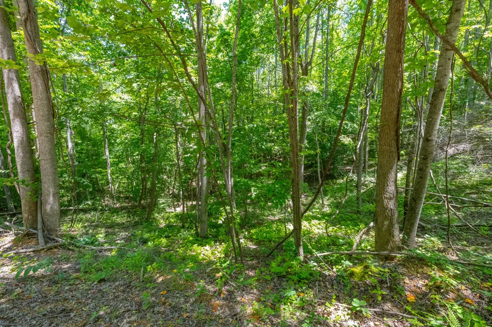 0 White Oak Rd Stewart, TN 37175
