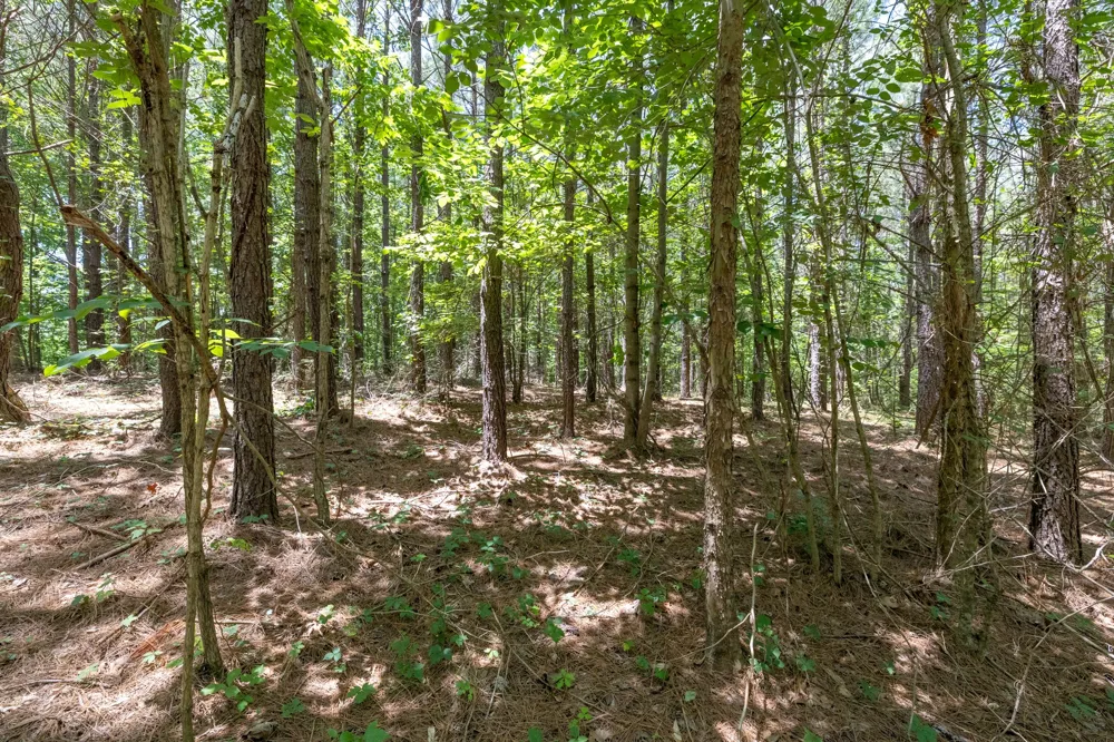 0 White Oak Rd Stewart, TN 37175