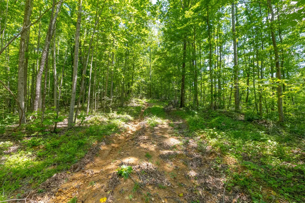 0 White Oak Rd Stewart, TN 37175
