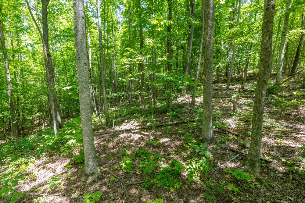 0 White Oak Rd Stewart, TN 37175