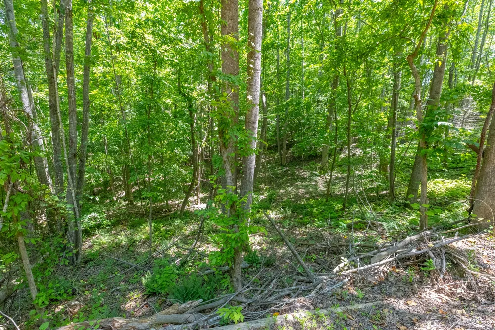 0 White Oak Rd Stewart, TN 37175