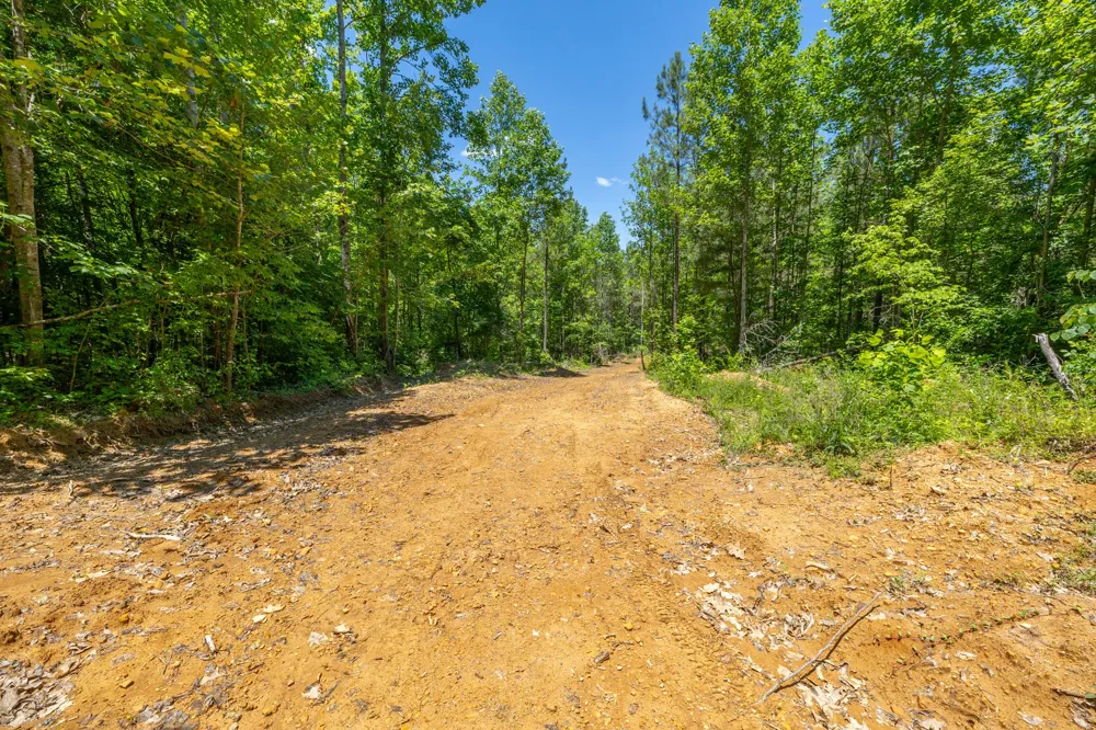 0 White Oak Rd Stewart, TN 37175