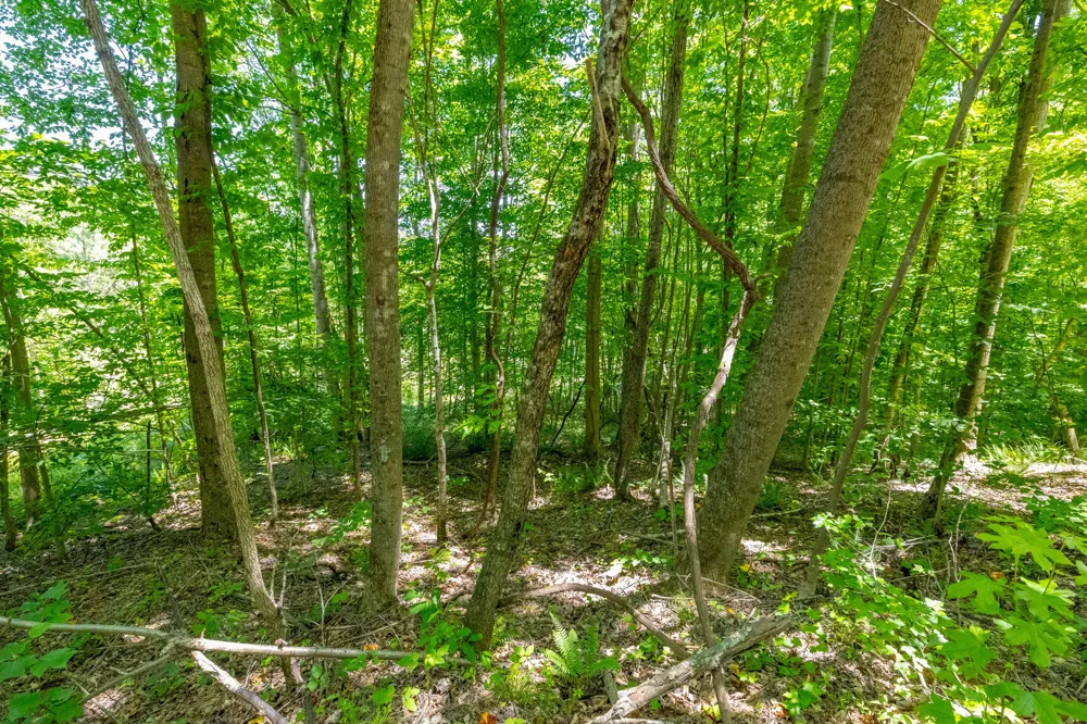 0 White Oak Rd Stewart, TN 37175