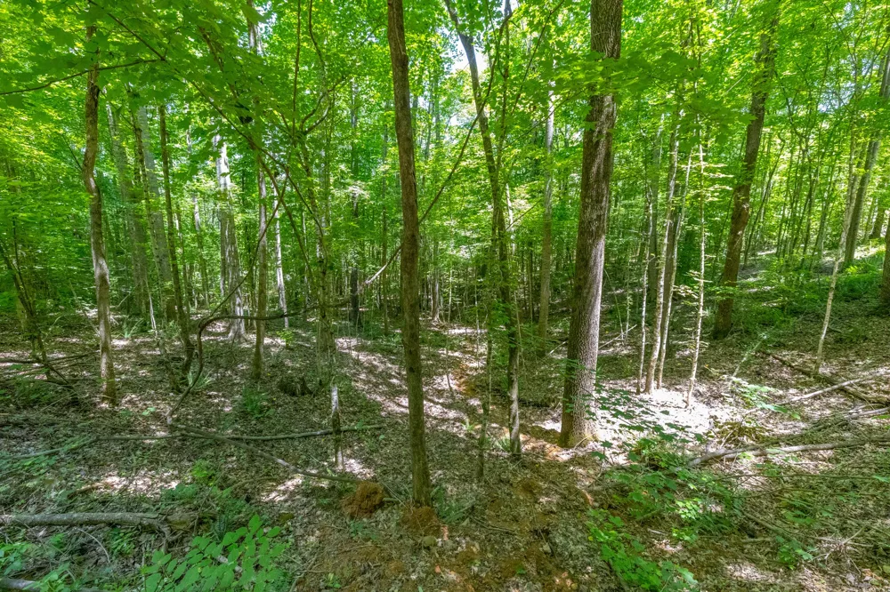 0 White Oak Rd Stewart, TN 37175