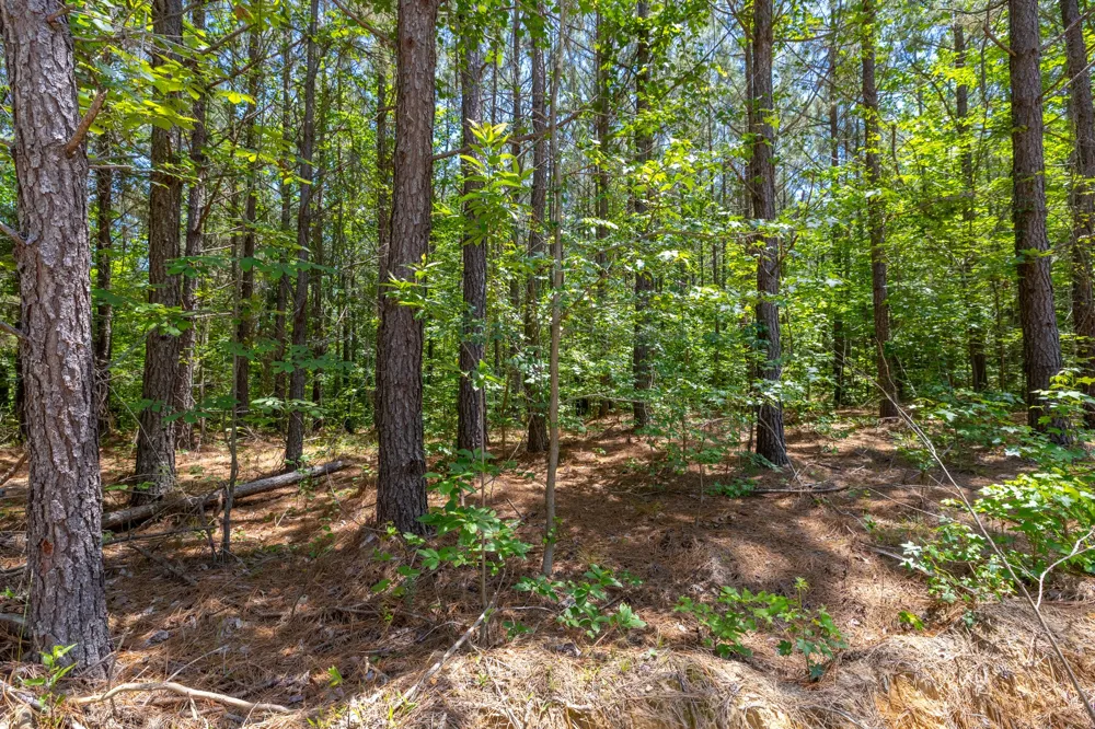 0 White Oak Rd Stewart, TN 37175