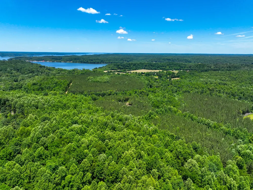 0 White Oak Rd Stewart, TN 37175