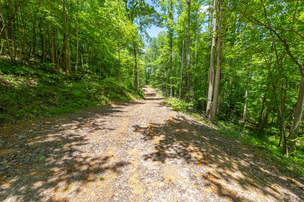 0 White Oak Rd Stewart, TN 37175