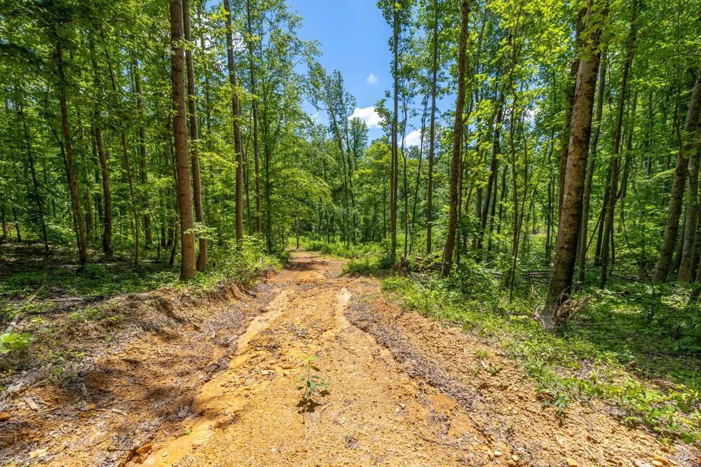 0 White Oak Rd Stewart, TN 37175