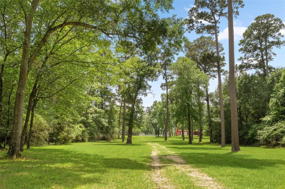 15126 Walden Road Montgomery, TX 77356