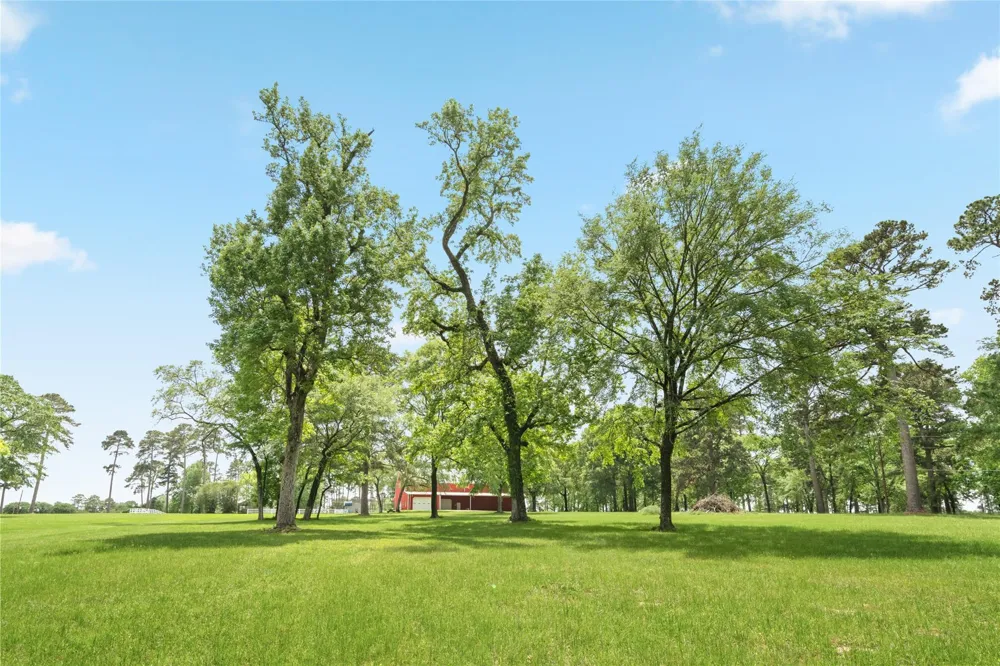 15126 Walden Road Montgomery, TX 77356