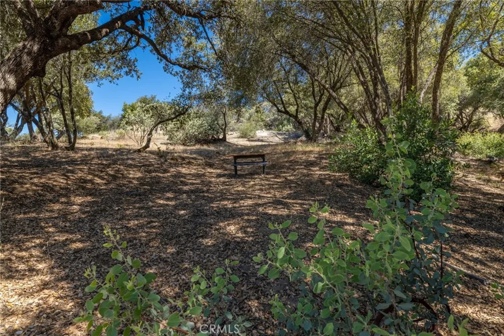 49 Old Yosemite Road Oakhurst, CA 93644
