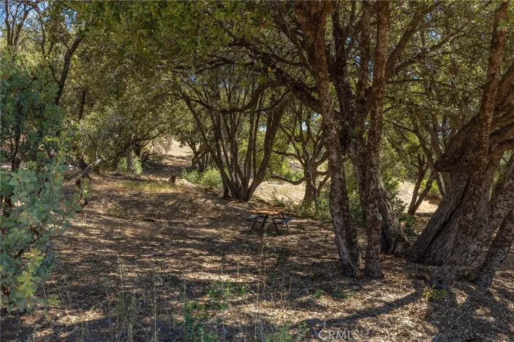 49 Old Yosemite Road Oakhurst, CA 93644